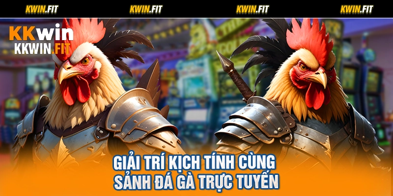 Giải trí kịch tính cùng sảnh đá gà trực tuyến