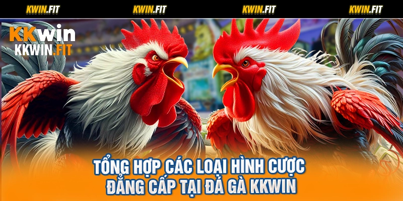 Tổng hợp các loại hình cược đẳng cấp tại đá gà KKWIN