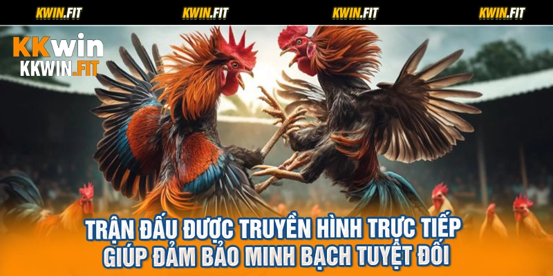Trận đấu được truyền hình trực tiếp giúp đảm bảo minh bạch tuyệt đối