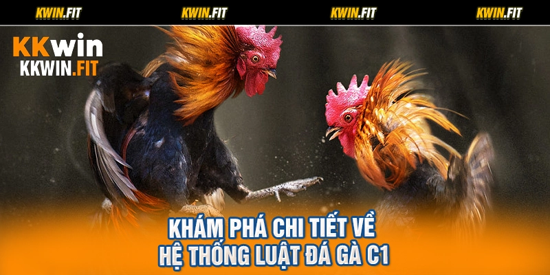 Khám phá chi tiết về hệ thống luật đá gà C1