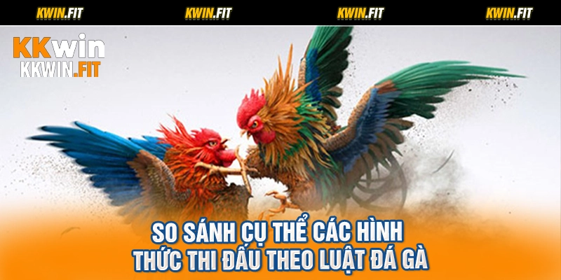 So sánh cụ thể các hình thức thi đấu theo luật đá gà