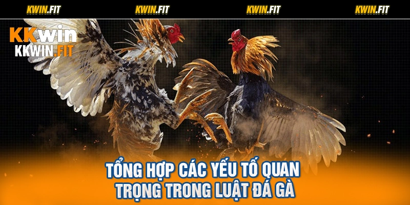 Tổng hợp các yếu tố quan trọng trong luật đá gà